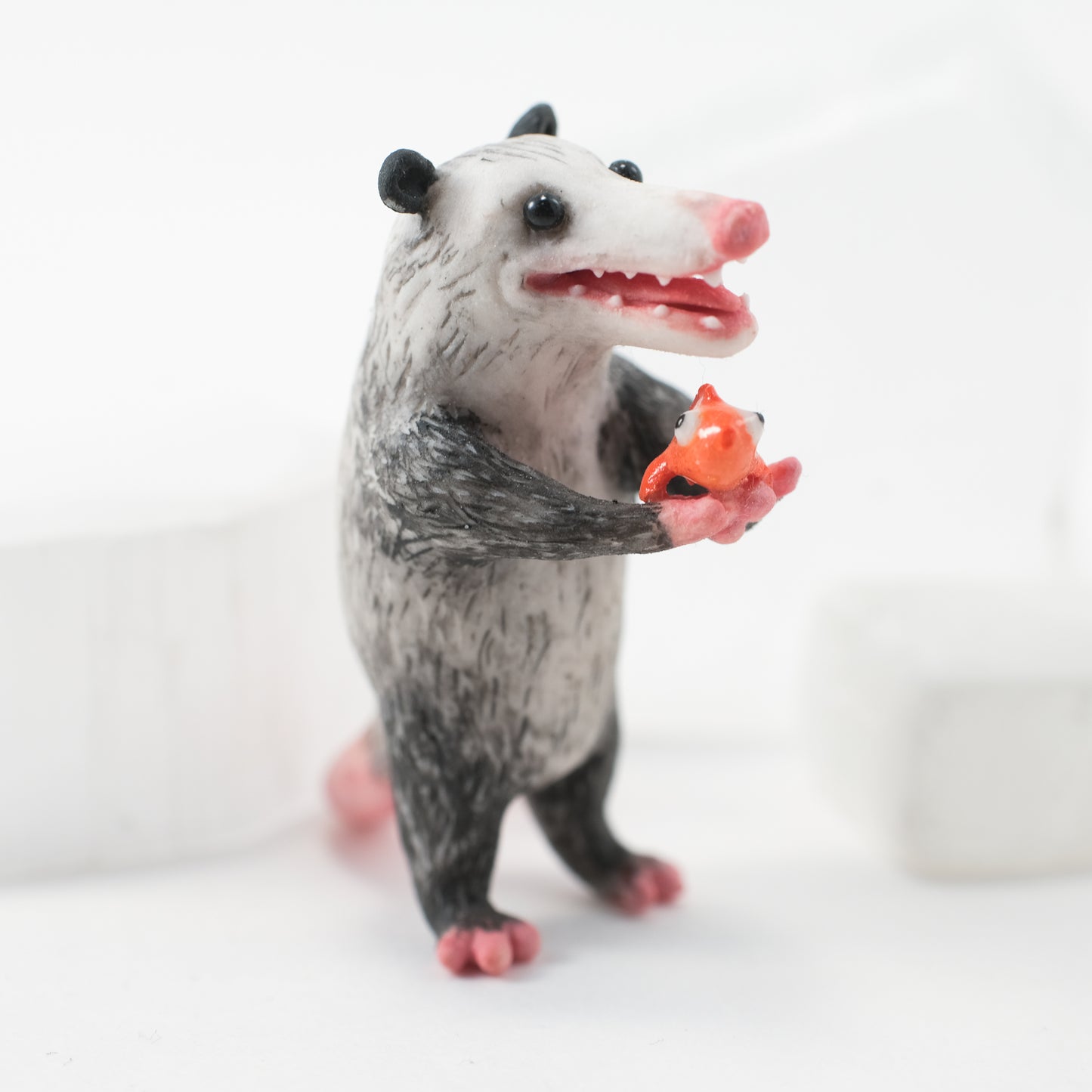 Opossum Oliver