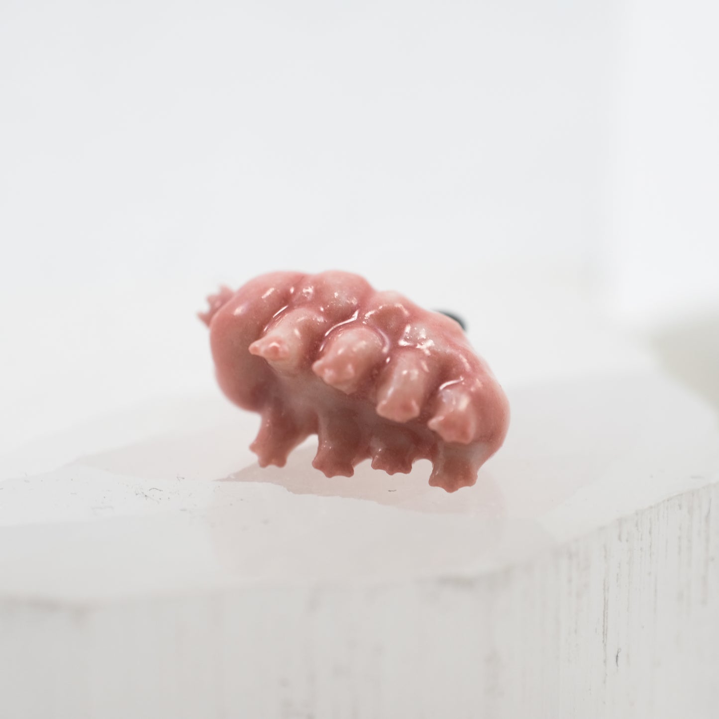 Water Bear Pendant