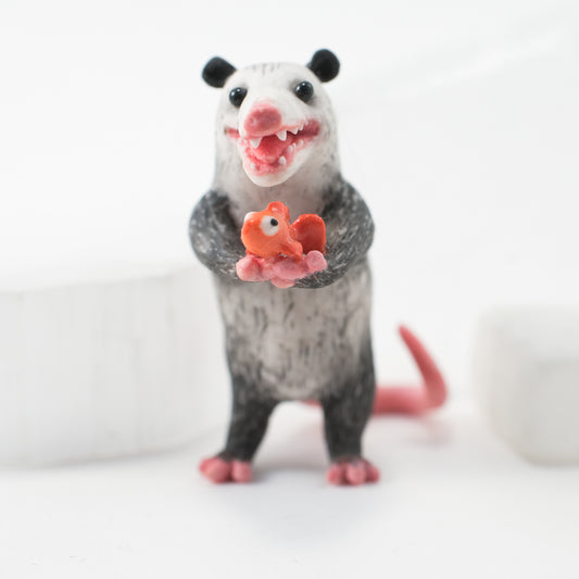 Opossum Oliver