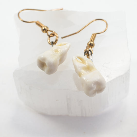 Porcelain Teeth Earrings